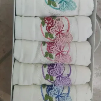 Exporanto Mutfak Havlusu Kadife Kutulu Desenli 30X50 cm 6 Adet Pamuk 1