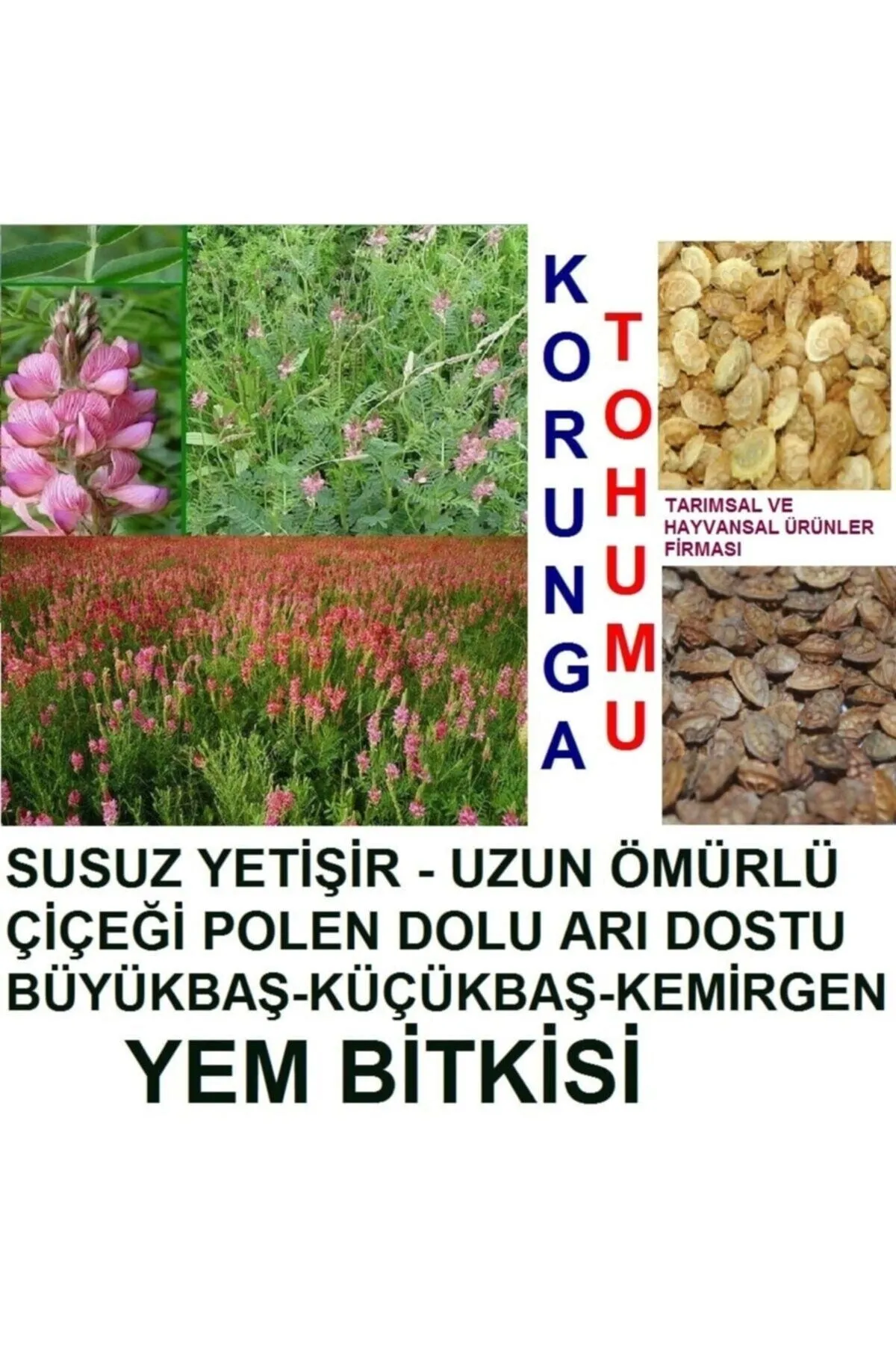 Tarımsal ve Hayvansal Ürünler 20.000 Adet Kemirgen Yemi Korunga Tohumu