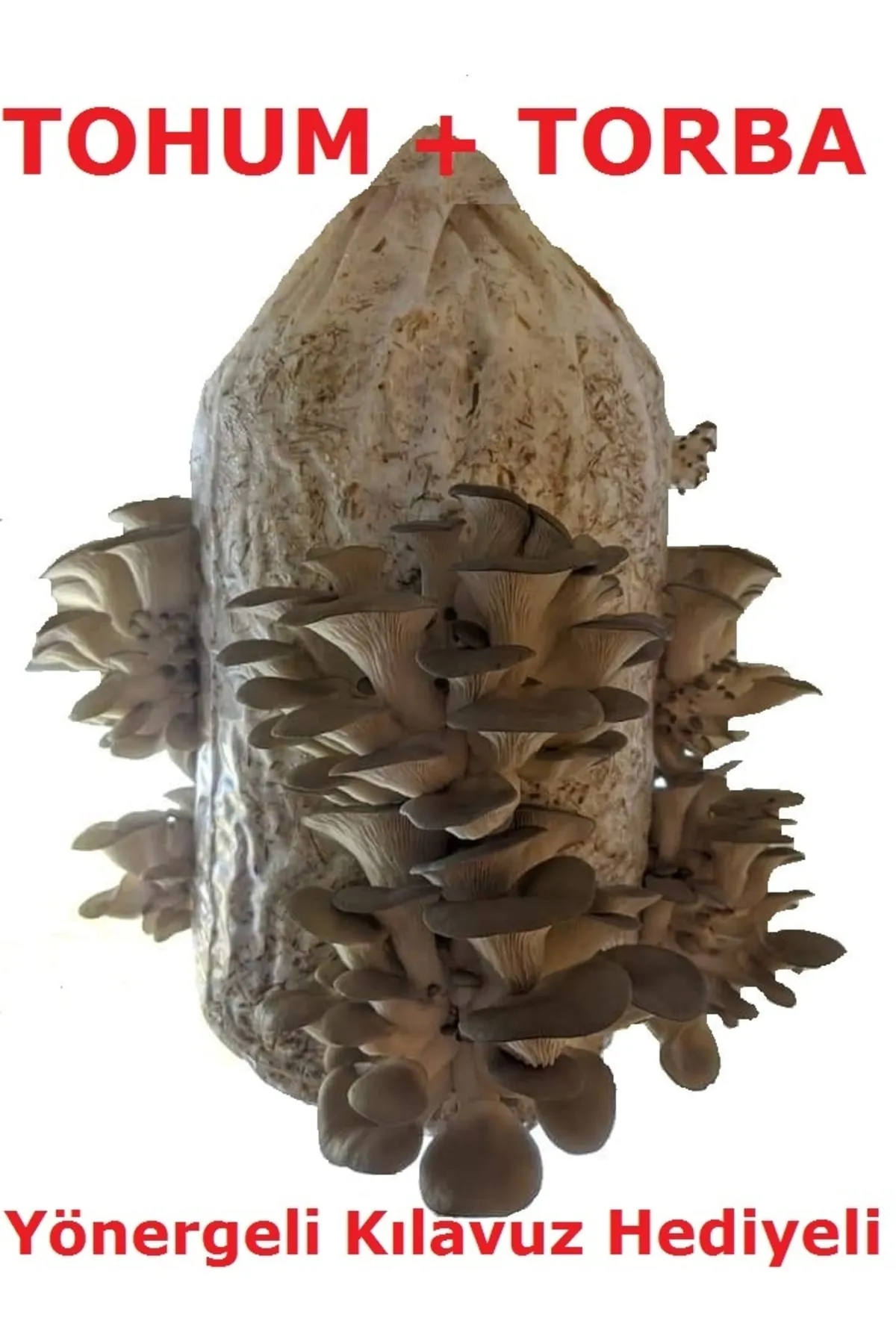 urunresim