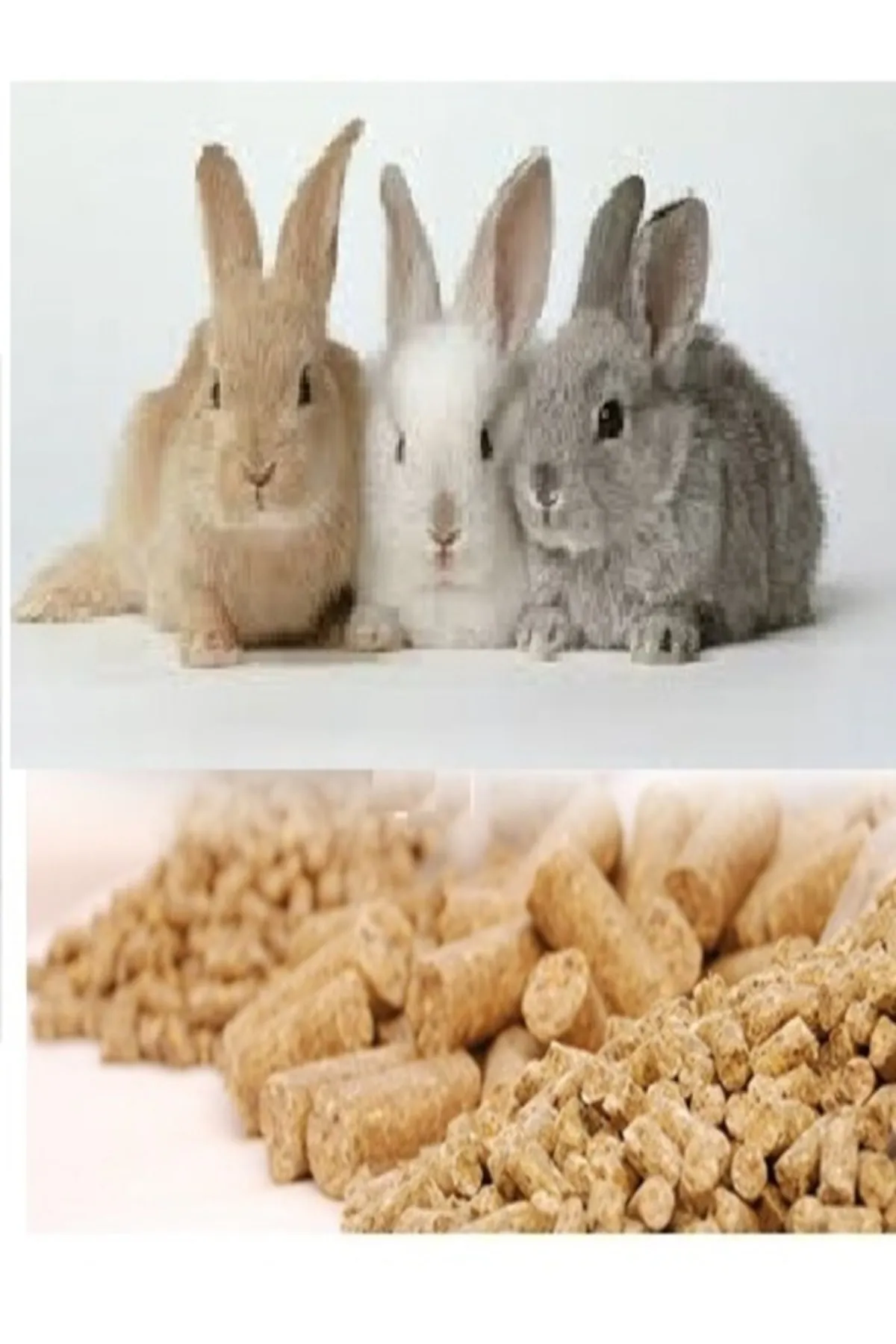 Tarımsal ve Hayvansal Ürünler Tavşan Hamster Kemirgen Yemi 1 Kg görsel 2