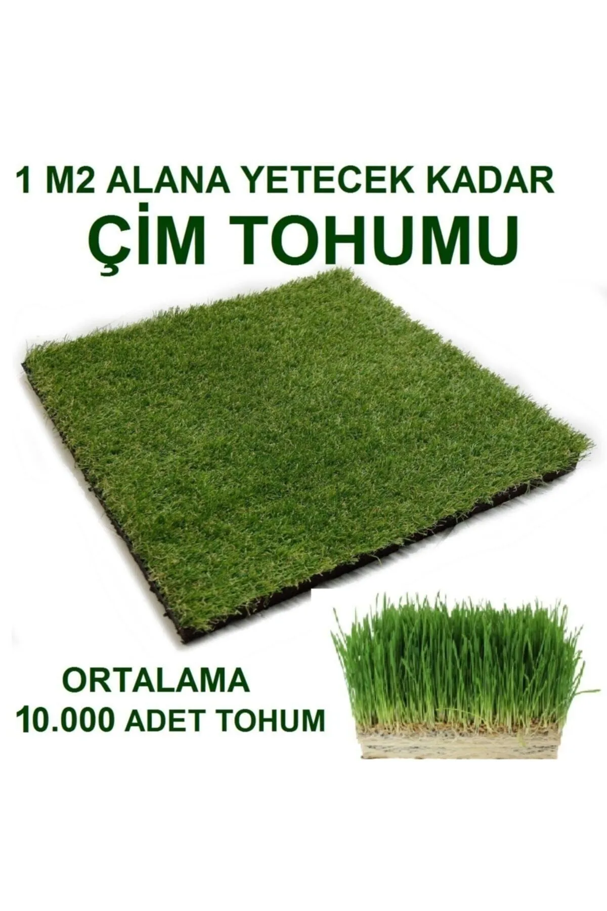 Tarımsal ve Hayvansal Ürünler Kedi Çimi Tohumu (ORTALAMA 10.000 ADET) görsel 3