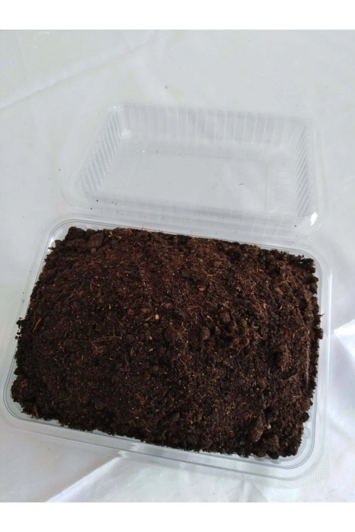 Tarımsal ve Hayvansal Ürünler	2 Adet Kültür Mantarı Tohumu Ekili Kutu Ve Eğitim Yönergesi görsel 3