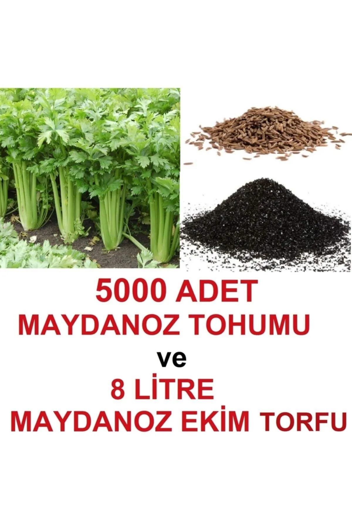 Tarımsal ve Hayvansal Ürünler 5000 Adet Geniş Yapraklı Köylü Maydanoz Tohumu Ve 8 Litre Maydanoz Ekim Torfu