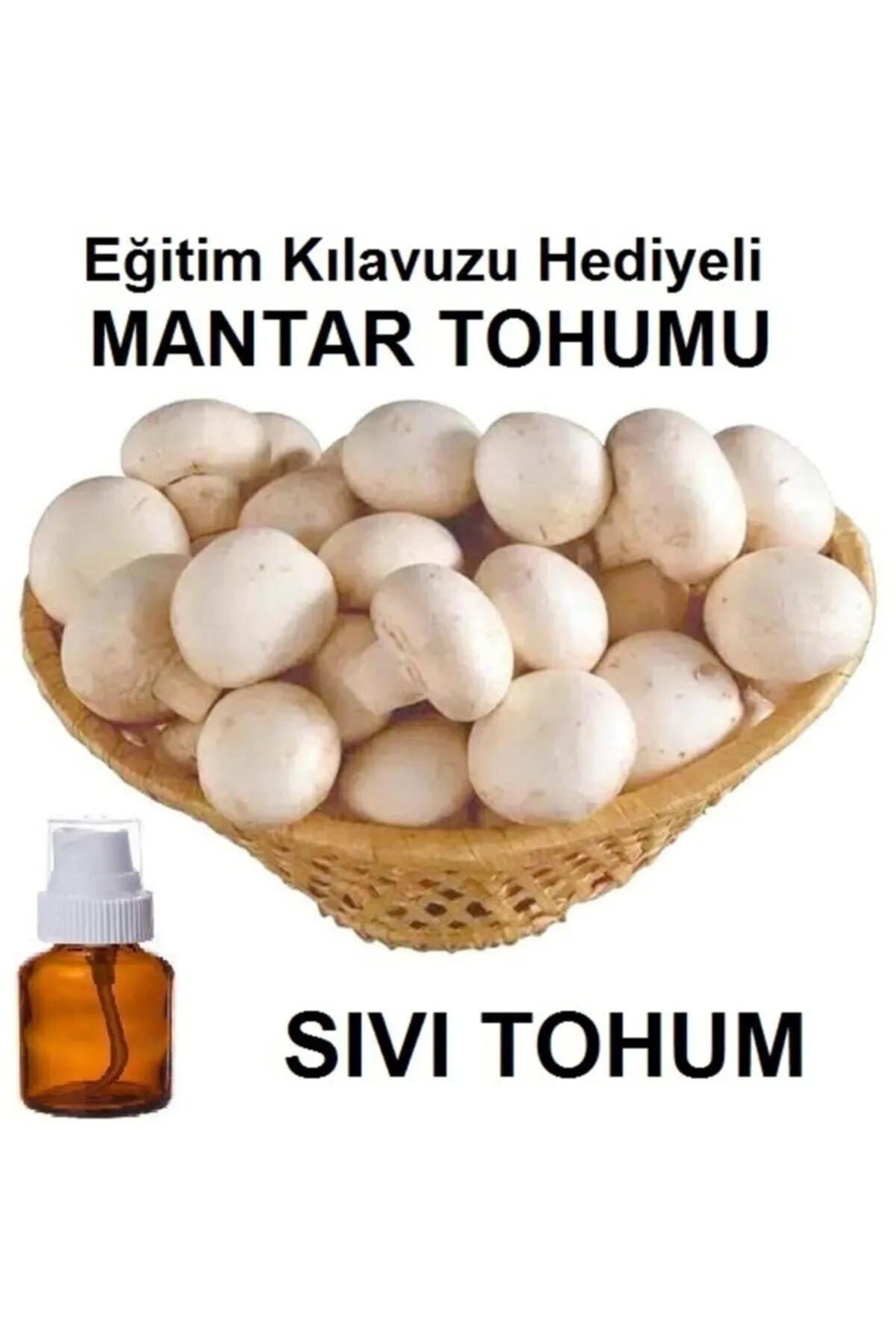 Tarımsal ve Hayvansal Ürünler 100 ml Kültür Mantarı Tohumu