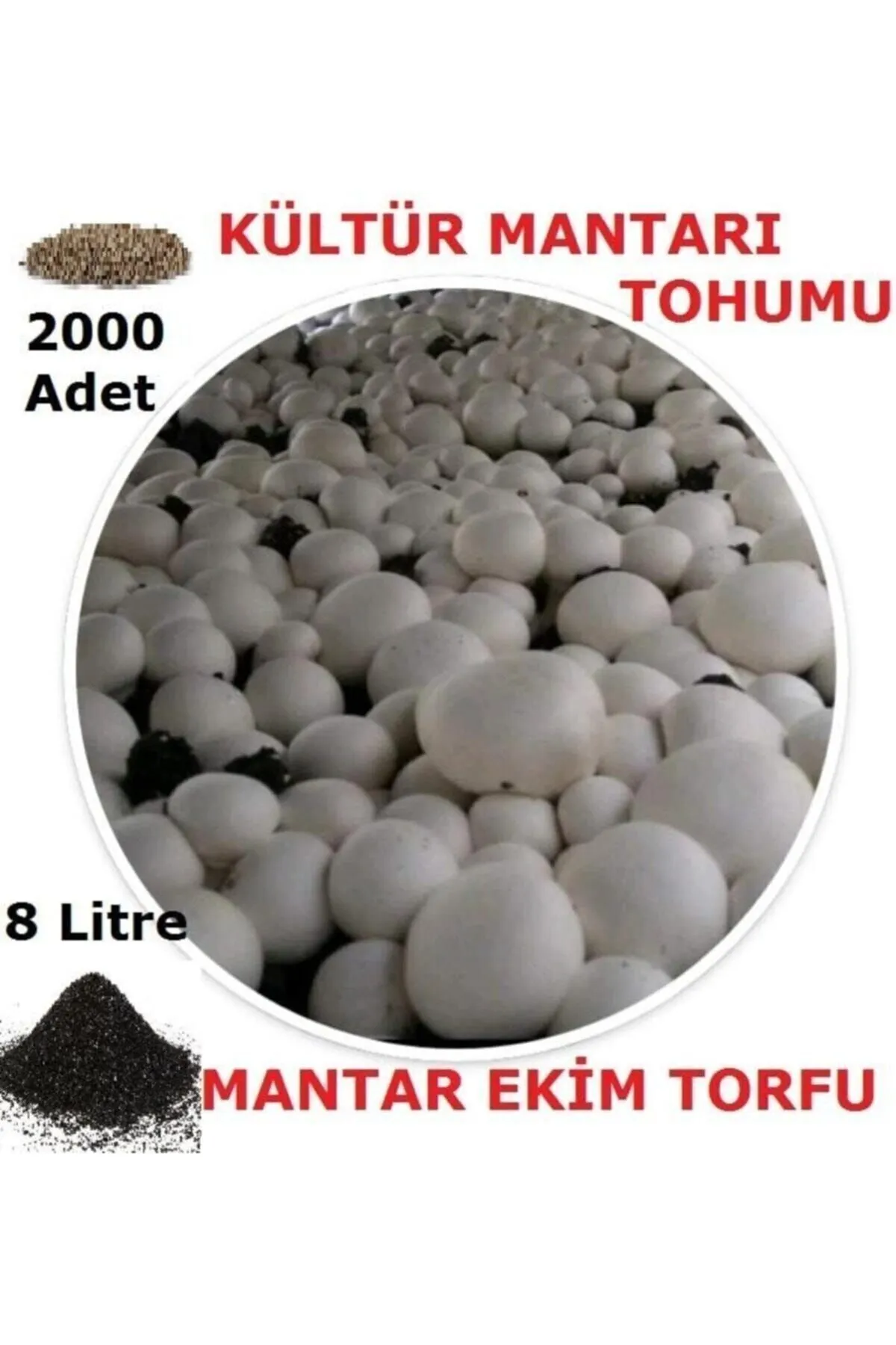 Tarımsal ve Hayvansal Ürünler	2000 Adet Beyaz Şapkalı Kültür Mantarı Tohumu + 12 Litre Mantar Ekim Torfu Ve Mantar Ekim Yönergesi görsel 2
