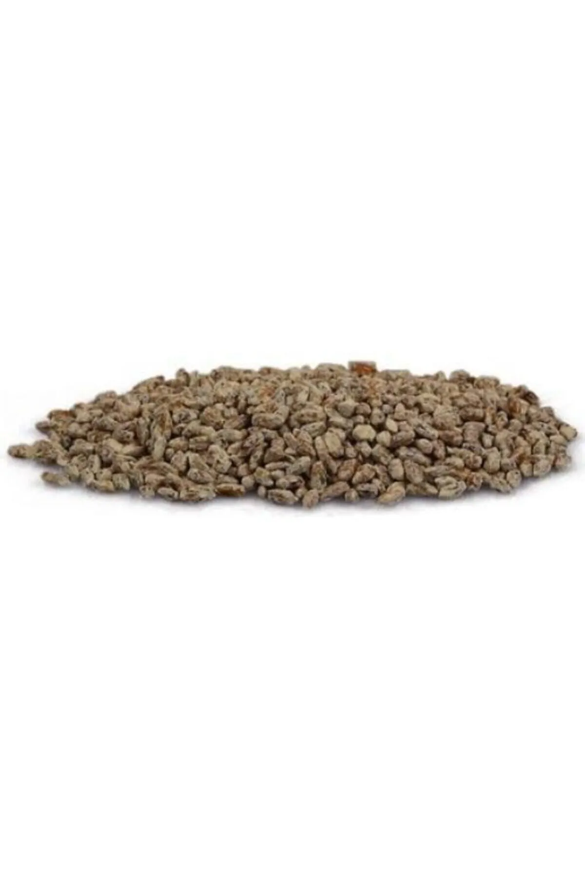 Tarımsal ve Hayvansal Ürünler 20.000 Adet Kültür Mantarı Tohumu, Yeteri Kadar Ekim Poşeti Ve Eğitim Yönergesi görsel 2