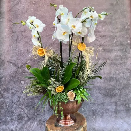 Derin Flowers Lux 4 Dal Orkide Tasarım