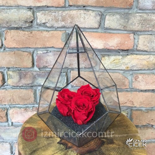Derin Flowers Geometrik Camda Solmayan Güller