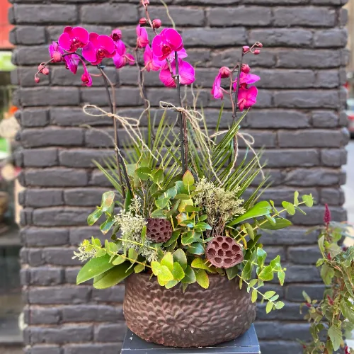 Derin Flowers 4 Dal Elegant Orkide