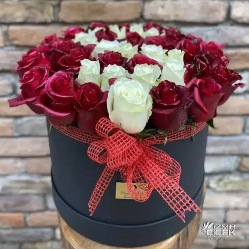 Derin Flowers XL Boy Kutu Çiçek