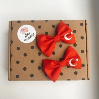 SavBrand 29 Ekim Türk Bayraklı Baskılı Kumaş Klips Toka 2li