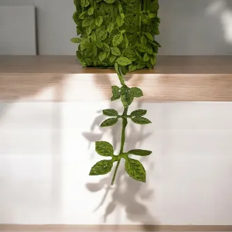 SavBrand Yeşil Dekoratif Şerit 4 yaprak Su taşı 2 metre