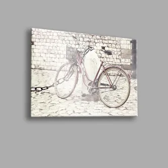 BALERA Bisiklet 1 Cam Tablo