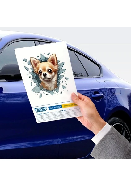 Exporanto Chiuahua Araç Stickerı görsel 3