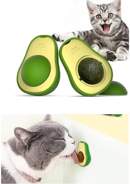 Exporanto Avakado Kedi Nanesi Cat Mint Oyun Topu görsel 2