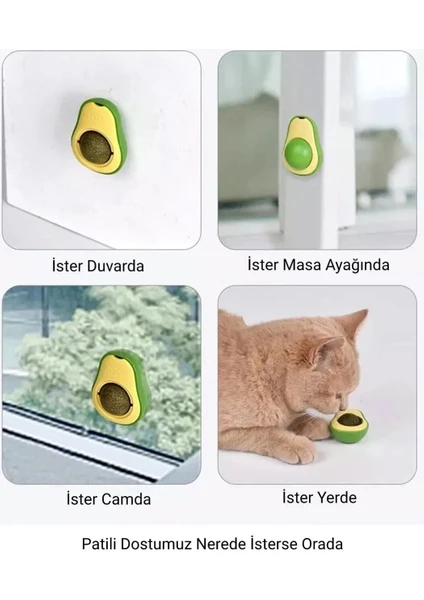 Exporanto Avakado Kedi Nanesi Cat Mint Oyun Topu görsel 3