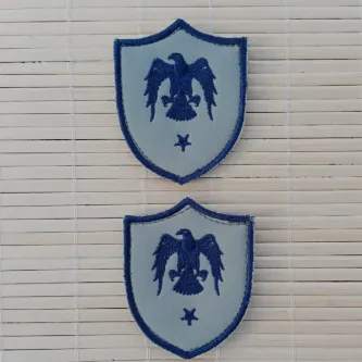İzmir Askeri Malzeme 2 Adet Havacı Teğmen Gri Zemin Kartal Nakışlı Mini T-shirt Arma Patch Peç