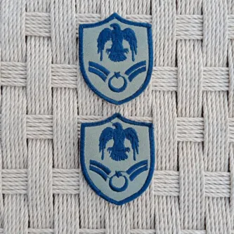 İzmir Askeri Malzeme 2 Adet Havacı Asb Çavuş Gri Zemin Kartal Nakışlı Mini T-shirt Arma Patch Peç