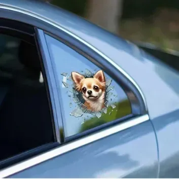 Exporanto Chiuahua Araç Stickerı