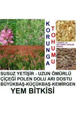 Tarımsal ve Hayvansal Ürünler 20.000 Adet Kemirgen Yemi Korunga Tohumu