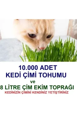 Tarımsal ve Hayvansal Ürünler	10.000 Adet Kedi Çimi Tohumu Ve 8 Litre Kedi Çimi Ekim Torfu