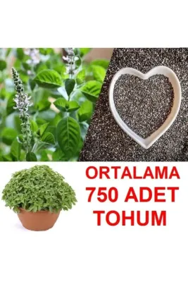 Tarımsal ve Hayvansal Ürünler	Ortalama 750 Adet Yeşil Top Reyhan Tohumu